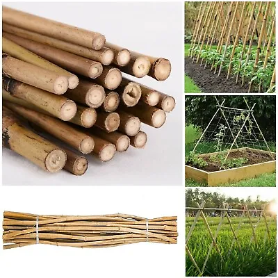 Large 6ft Bamboo Canes Strong Heavy Duty Thick Pole Garden Plants Support Stakes • £16.89