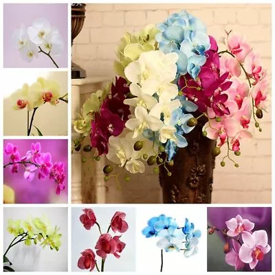 $8.26 • Buy 100 Pcs Colorful Phalaenopsis Seeds Bonsai Flower Orchid Seeds
