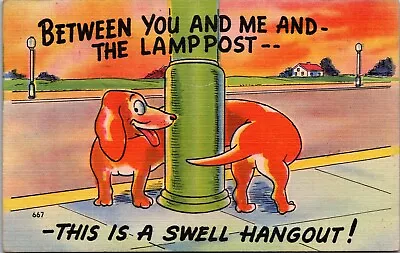 Postcard~Comic~Humor~Dachshund~Dog~Between You Me And The Lamp Post~c1946 • $4.97