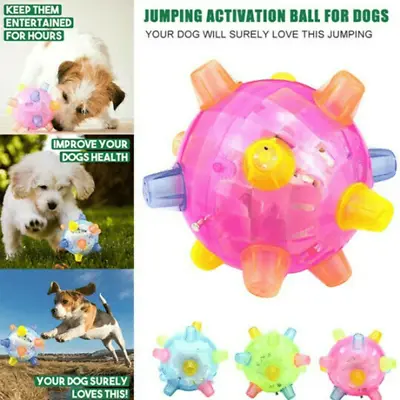 $14.95 • Buy Pet Toys Puppy Dog Bouncing Music Glowing Ball Toy Companion Interactive Toy HOT