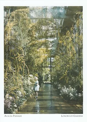 *Pennsylvania Postcard- Acacia Passage  ...about 1949- *Longwood Gardens {*L2-S2 • $4.09