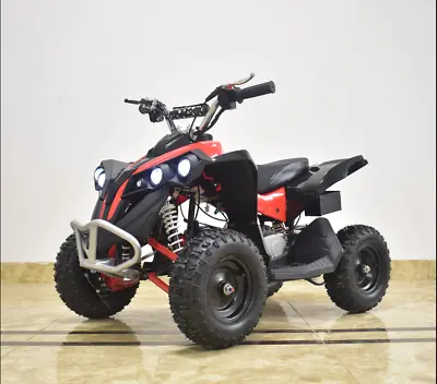 Mini Kids Quad Bike 49CC 2 Stroke Air Cooling ATV For Children • $1500