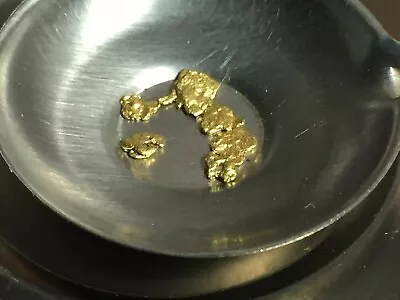 Gold Nuggets By The Quarter Gram Alaskan Natural Placer Gold Free US Shipping • $36.99