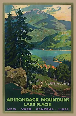 Adirondack Mountains New York Central Lines 1920s Vintage Travel Poster 16x24 • $10.95