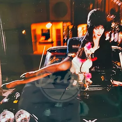 Elvira Mistress Of The Dark Gonk 8x10 Horror Photo From Negative Vintage USA 29 • $39.99