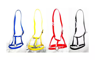 Biothane Horse Driving Under Halter Red Black Blue Yellow Full Cob & Pony Sizes • £20.99