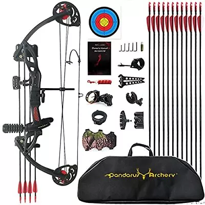 PANDARUS Compound Bow Archery For Youth And Beginner Right/Left Handed19”-2... • $175.91