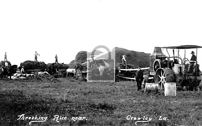 Steam Tractor Farming Threshing Rice Crowley Louisiana LA - 4x6 PRINT • $4.99