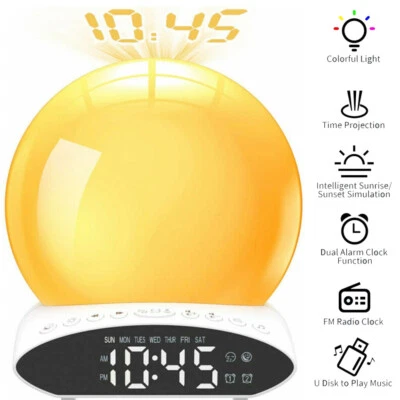 $22.88 • Buy Wake Up Light Sunrise Simulation Alarm Clock FM Radio White Noise Nature Sounds
