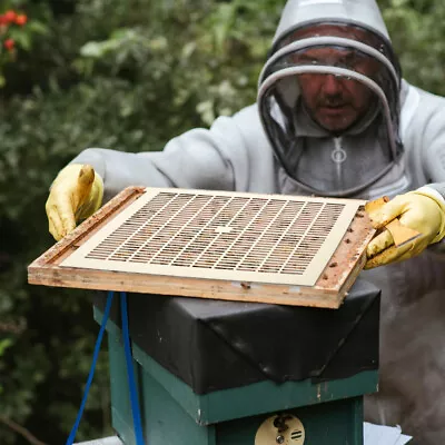 Plastic Honeycomb Tool Beekeeping Excluder Wire Grid • £11.19