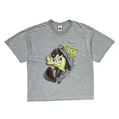 LOONEY TUNES T Shirt Vintage Tasmanian Devil Graphic Florida Grey 2XL • £24.95