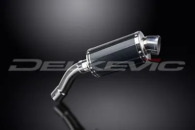 Delkevic 9  DS70 Carbon Fiber Oval Slip-On Muffler - BMW F800R - 09-16 Exhaust • $283.99