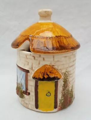 Babbacombe Pottery - Lidded Condiment Pot  • £9