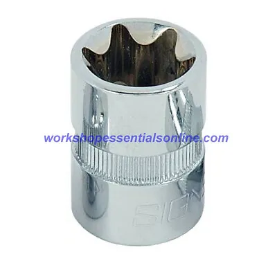 E20 Torx Socket 3/8  Drive Signet S12166 • $9.92