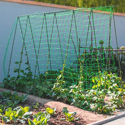 £4.39 • Buy Plant Support Mesh Garden Net Vegetable Fruit Climbing Netting Pea Bean Trellis/