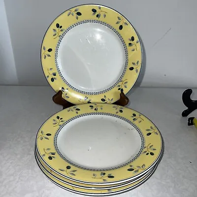 £36.51 • Buy 4 Royal Doulton Blueberry Pattern Side Plates 19” Inches