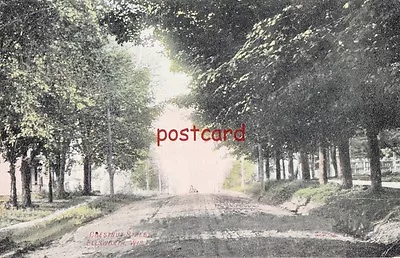 1910 ELLSWORTH WI Chestnut Street Dirt Road Mailed To Miss Vivian Vincent • $14.99