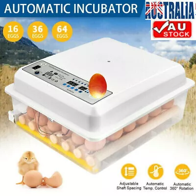 36 Eggs Digital Egg Incubator LED Fully Automatic Turning Chicken Duck Poultry • $55.99