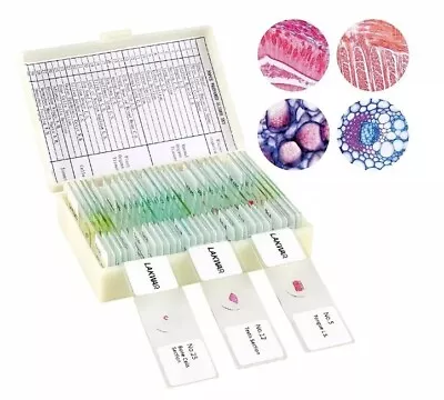 LAKWAR Microscope Slides 30PCs Glass Slide Prepared Microscope Slides Specimens  • $14.99