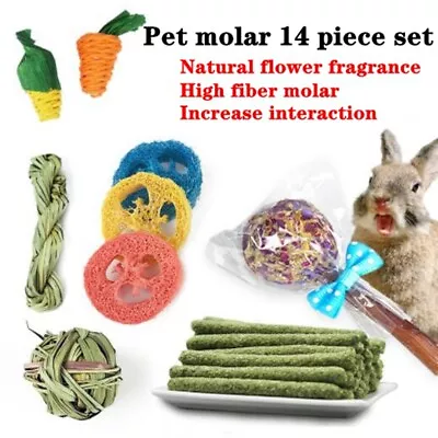 14Pcs Pet Chew Toys Set Treats And Balls For Rabbits Hamster Guinea Pig • £7.45