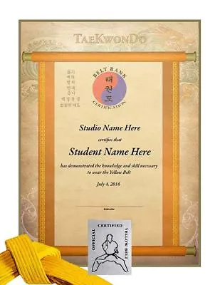 Martial Arts Certificates - TaeKwonDo & Karate Rank Certificates - Pack Of 10 • $18.99