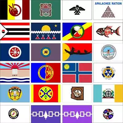 Native Flag Abenaki American Indian AIM Anishinabe Apalachee Arapaho Athabascan • $12