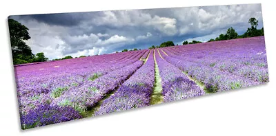 Lavender Field Banstead Surrey Picture PANORAMA CANVAS WALL ART Print Purple • £39.99