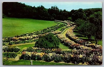 Montclair NJ Mountainside Park Presby Memorial Iris Gardens Chrome Postcard • $7.99