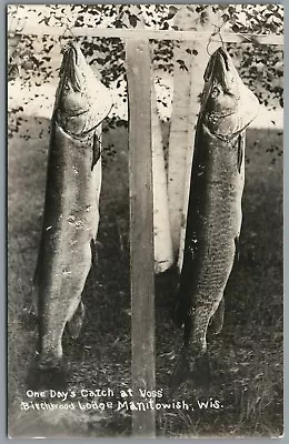 RPPC Postcard Manitowish WI One Days Catch Viss Birchwood Lodge Fish Fishing • $29.99