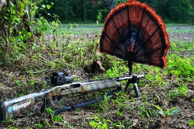 $39.99 • Buy MOJO Tail Chaser Max