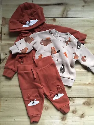 Boys 0-3 Months Cute 3 Piece Set Fox Woodland Animals Tracksuit Outfit • £8.99