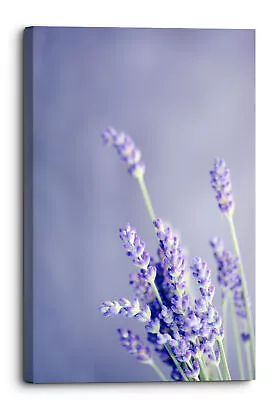 Purple Lavender Canvas Print Wall Art Picture Home Decoration • £13.99