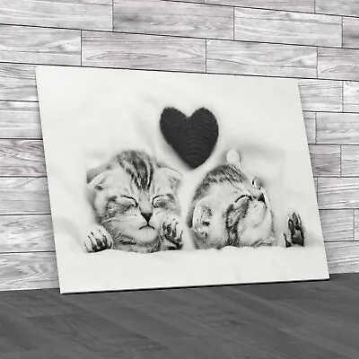 Valentines Kittens Dreaming Love In Cozy Bed Top Black White Canvas Print Large • £18.95