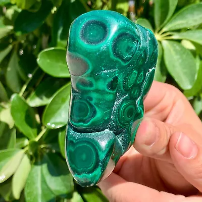 331g  Natural Glossy Malachite Transparent Cluster Rough Mineral Sample • $3.62