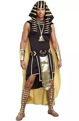 Brand New Egyptian Pharaoh King Of Egypt Adult Costume • $44.12