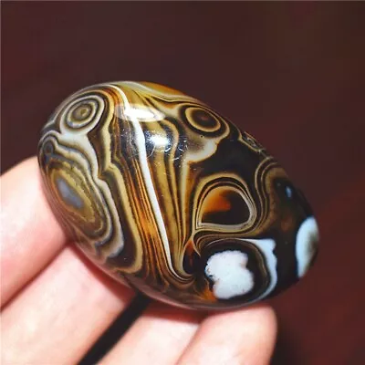 47g Natural Banded Agate Tumbled Palm Stone Crazy Lace Silk Healing Madagascar • $2.46