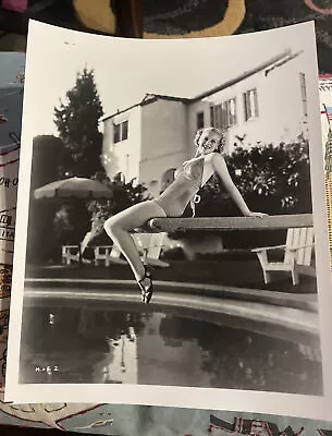 Martha O’Driscoll Irving Klaw Archives Movie Star News Vintage Photo 8x10 1970s • $9.99