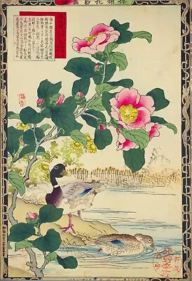 Ducks Pink Flowers Vintage Kono Bairei Japanese Poster Botanical Print Art • £3.92