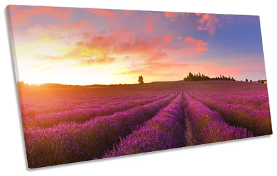 Sunset Purple Lavender Field Framed PANORAMIC CANVAS PRINT Wall Art • £39.99