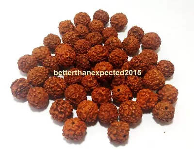 111 Loose Rudraksha Rudraksh Beads 5 Faces (mukhi) 14-15 Mm  • $14.90