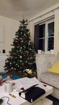 £51 • Buy 6ft Christmas Tree