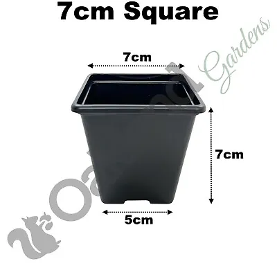 7cm Square Plant Pots ( 2.5  ) Black Plastic 7cm Deep Seed Flower Pot Recyclable • £5.15