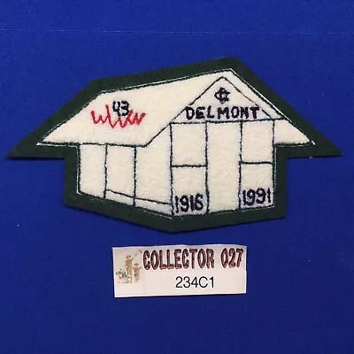 Boy Scout OA Delmont Lodge 43 C1 Chenille 1991 75th #5 Order Of The Arrow Patch • $49.99