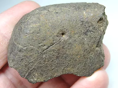 Meteorite - Oriented - Top Quality - Rare Orientation - SLS-1926 - 59.0g Superb • $29.95