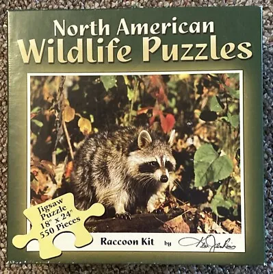 Raccoon Kit Ken Jenkins North American Wildlife 550 Piece Puzzle Channel Craft • $5