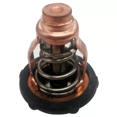 6FP-12411 Thermostat For Yamaha 4 Stroke 75 90 HP F75B F90B VF90A Outboard • $37.99