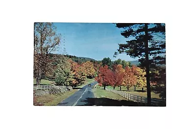 POSTCARD Greetings From Lake Mahopac New York NY Scenic Fall Fooliage Drive • $5.40