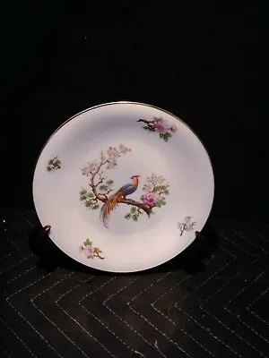 H&C Selb - Heinrich Bird Of Paradise 8.75  Bread Plate- Bavaria Germany 1930s • $15.99