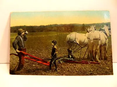 Vintage Unposted Postcard Of Man & Boy With Horse Drawn Plow In Field • $3.99