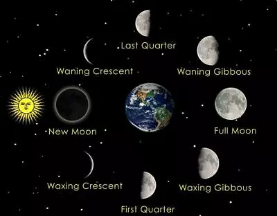 MOON PHASES CYCLE GLOSSY POSTER PICTURE PHOTO PRINT Sun Moon Orbit Lunar 4212 • $11.99